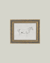 Load image into Gallery viewer, Horse Sketch
