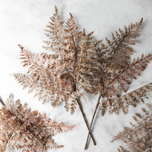 Load image into Gallery viewer, Rust Fern Bush