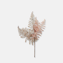 Load image into Gallery viewer, Rust Fern Bush