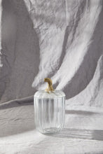 Load image into Gallery viewer, Translucent Pumpkin