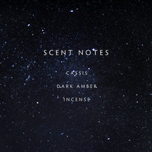 Load image into Gallery viewer, Linnea Midnight Holiday Candle