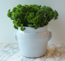 Load image into Gallery viewer, Cutlery Crock