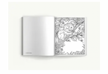 Load image into Gallery viewer, Color Me Critters
