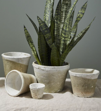 Load image into Gallery viewer, Antique White Pot