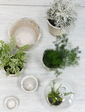 Load image into Gallery viewer, Antique White Pot