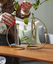 Load image into Gallery viewer, Riviera Propagation Stand