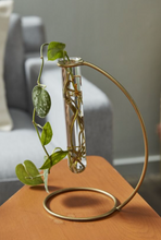 Load image into Gallery viewer, Riviera Propagation Stand