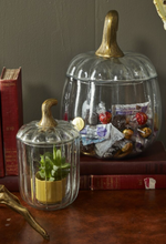 Load image into Gallery viewer, Translucent Pumpkin