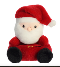 Load image into Gallery viewer, Aurora® Palm Pals