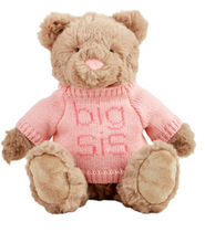 Load image into Gallery viewer, Plush Bear