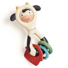 Load image into Gallery viewer, Itzy Spinner™ Rattle