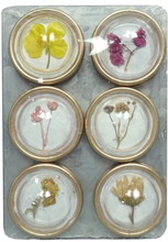 Load image into Gallery viewer, Botanical Magnet Set