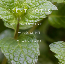 Load image into Gallery viewer, Linnea CRUSHED MINT Hand Soap