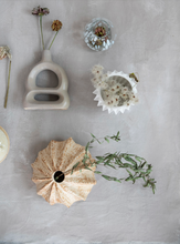 Load image into Gallery viewer, Shell Shaped Vase