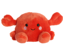 Load image into Gallery viewer, Aurora® Palm Pals