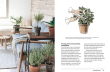 Load image into Gallery viewer, Herbal Houseplants