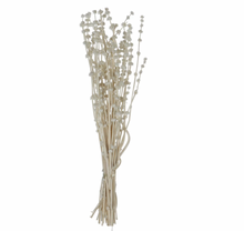 Load image into Gallery viewer, Dried Natural Lion's Tail Bunch