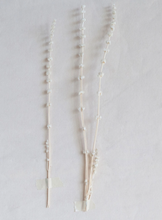 Load image into Gallery viewer, Dried Natural Lion's Tail Bunch