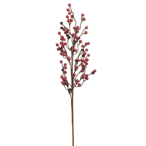 Red Berry Spray