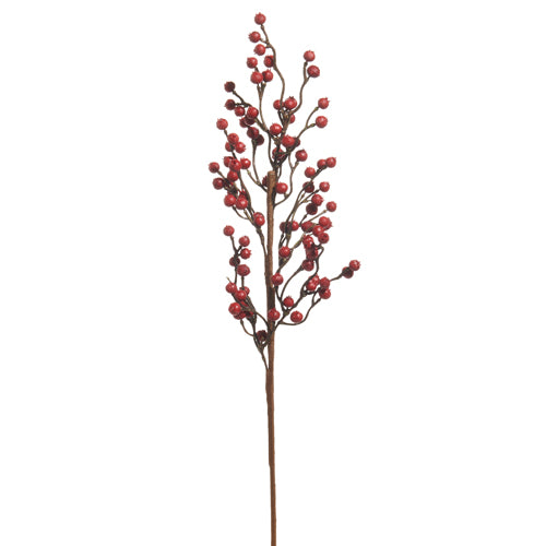 Red Berry Spray