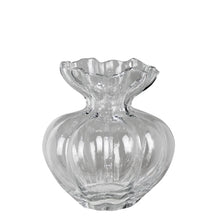 Load image into Gallery viewer, Fluttery Vase, Glass - Sm
