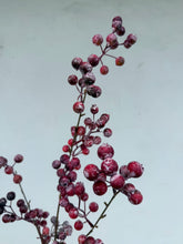 Load image into Gallery viewer, 36" Frosted Berry Spray
