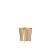 Load image into Gallery viewer, Delicata Pot
