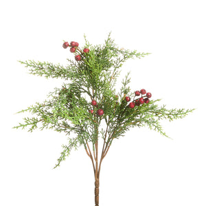 Cedar Berry Spray