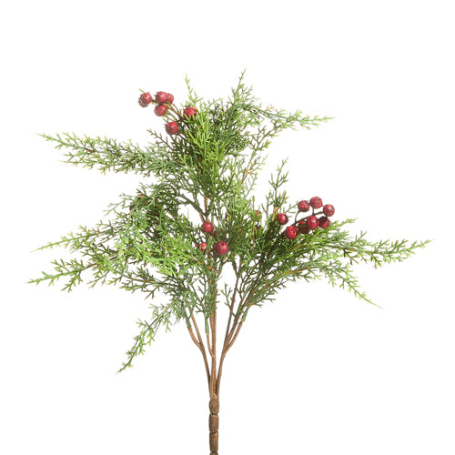 Cedar Berry Spray