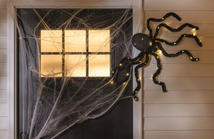 Light-Up Halloween Spider