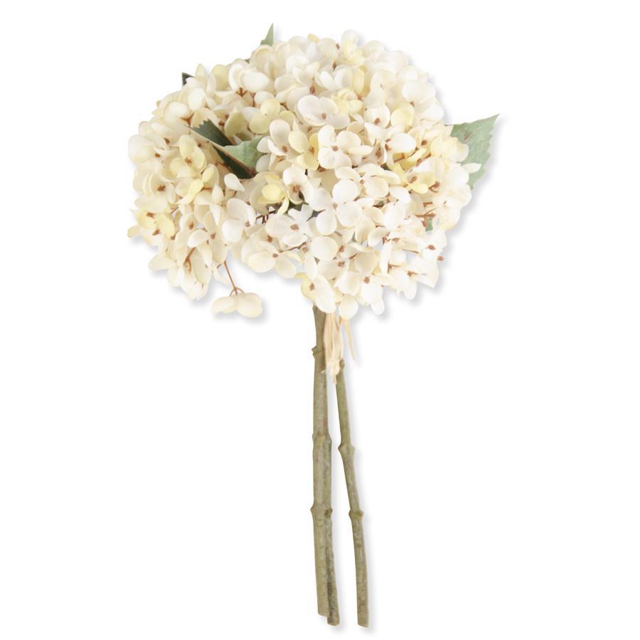 Hydrangea Bundle