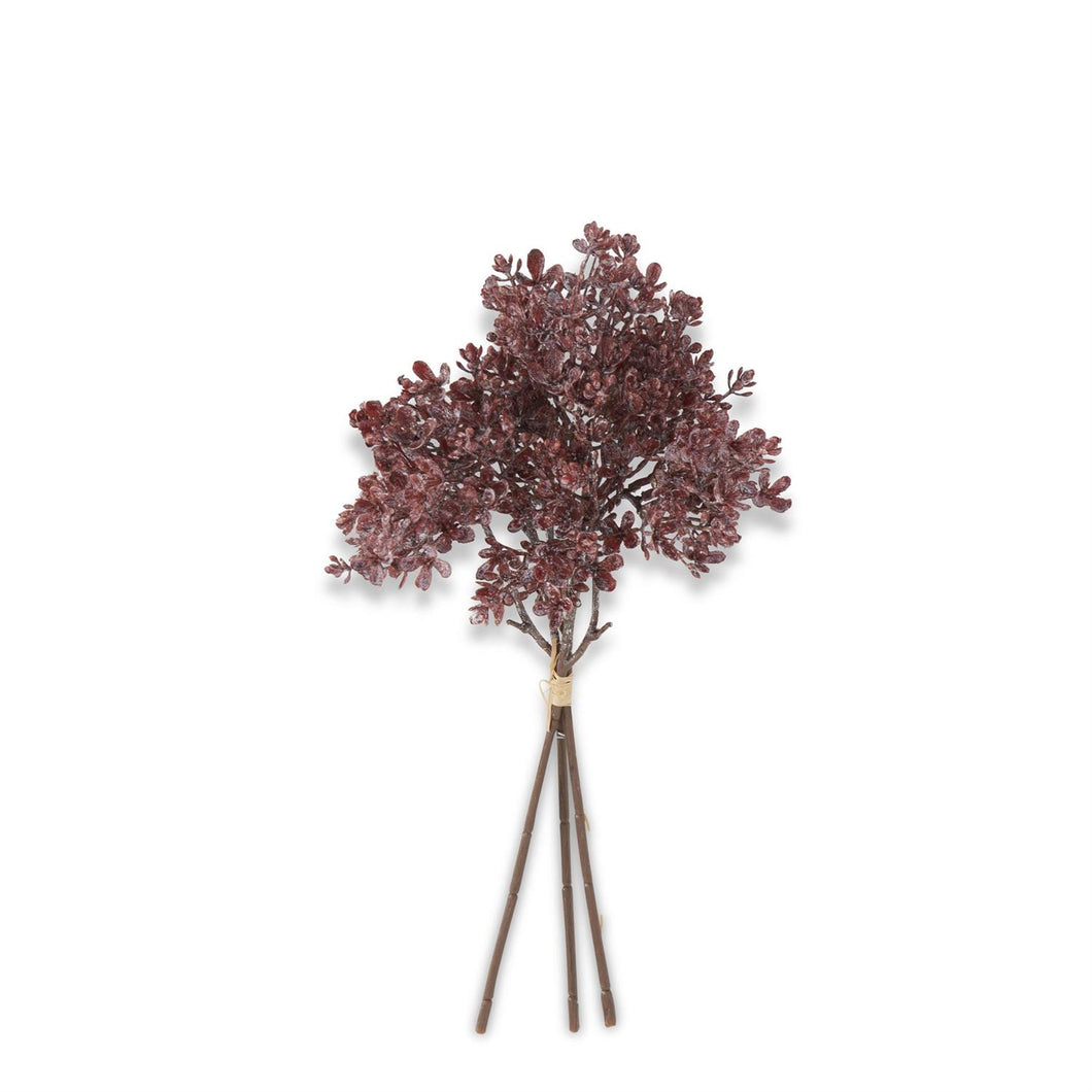 Dried Wildflower Bundle