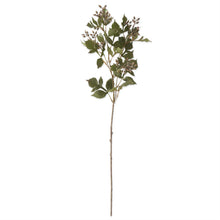 Load image into Gallery viewer, Berry Foliage Spray
