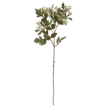 Load image into Gallery viewer, Berry Foliage Spray
