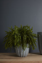 Load image into Gallery viewer, Orbison Planter
