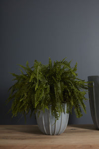 Orbison Planter
