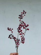 Load image into Gallery viewer, 36" Frosted Berry Spray
