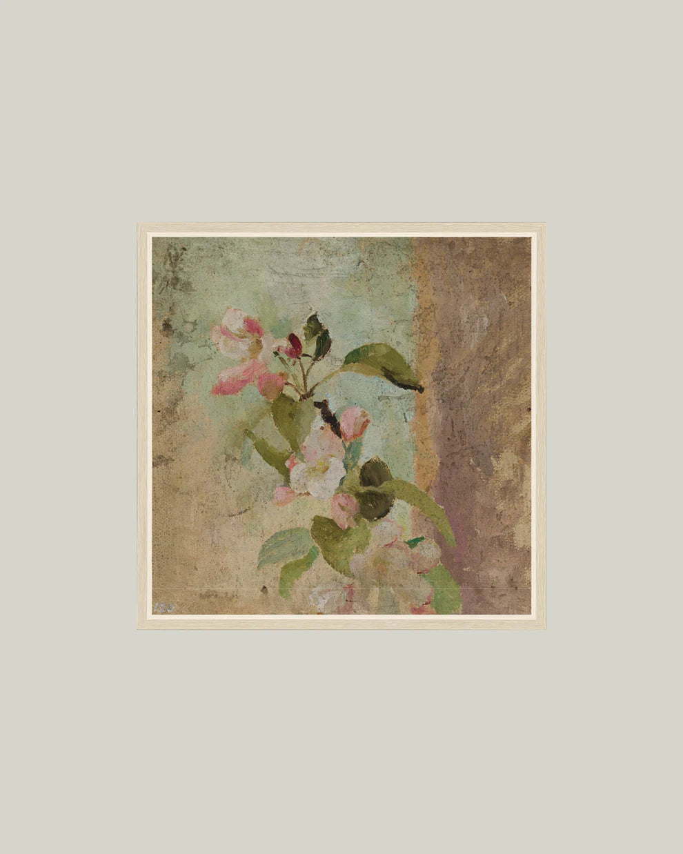 Apple Blossoms