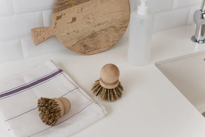 Dish Brush