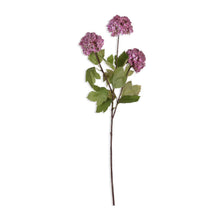 Load image into Gallery viewer, Mauve Guelder Rose
