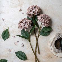 Load image into Gallery viewer, Blush Real Touch Hydrangea

