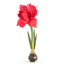 Load image into Gallery viewer, Real Touch Red Amaryllis
