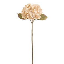 Load image into Gallery viewer, 26" Hydrangea Spray - Beige
