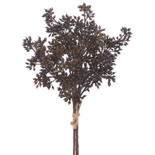 Load image into Gallery viewer, 12" Sedum Bundle x3 - Dark Brown
