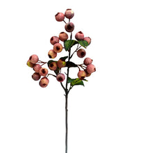 Load image into Gallery viewer, Crabapple Stem

