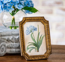 Load image into Gallery viewer, Antiqued Gold Frame
