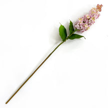 Load image into Gallery viewer, Garden Lilac
