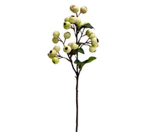 Load image into Gallery viewer, Crabapple Stem
