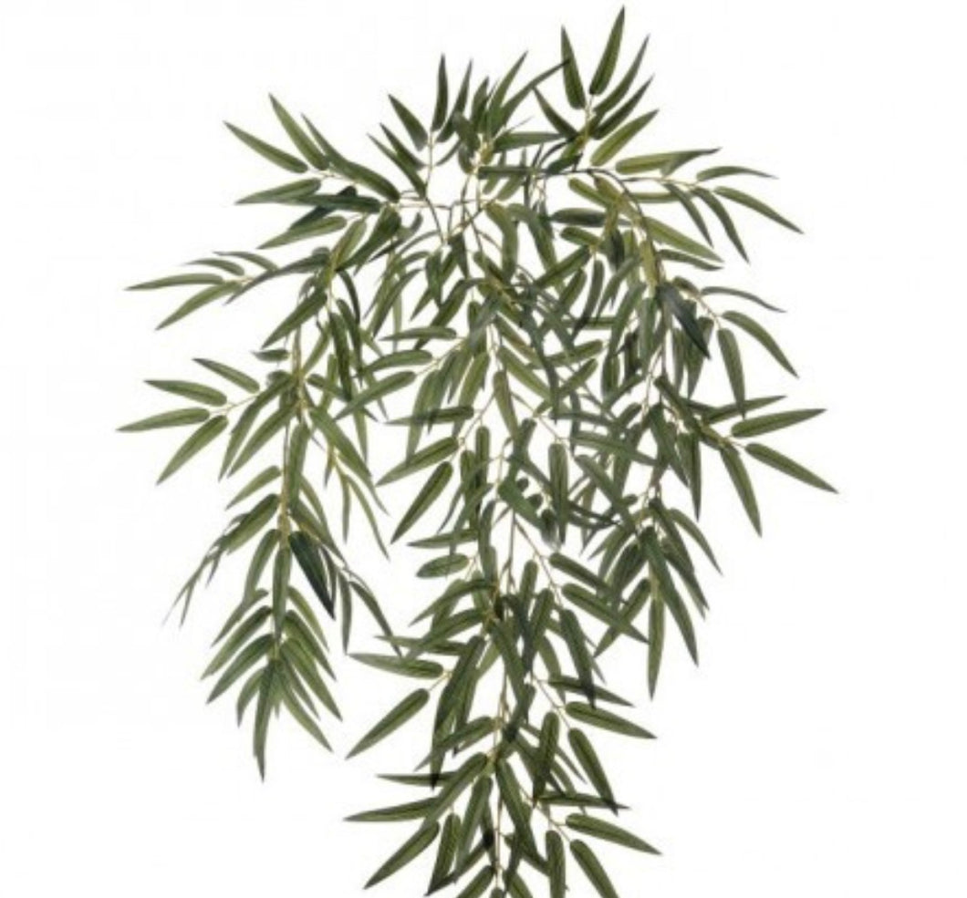Hanging Bamboo Leaf Plant