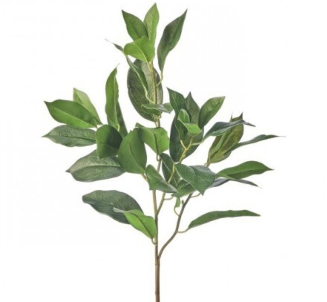 Lemon Leaf Dpray